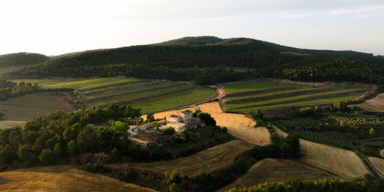 tas de vins