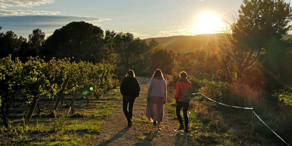 enoturisme a catalunya
