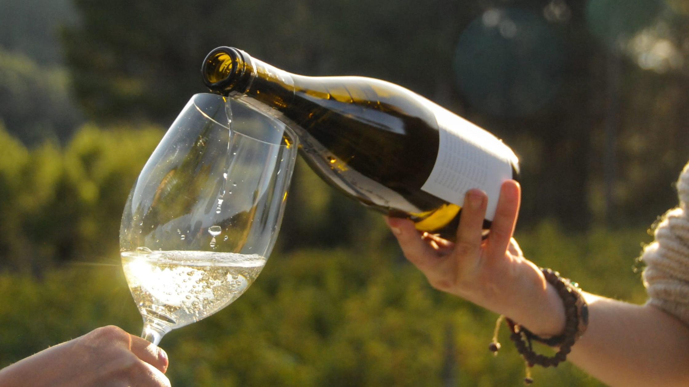 enoturisme penedes