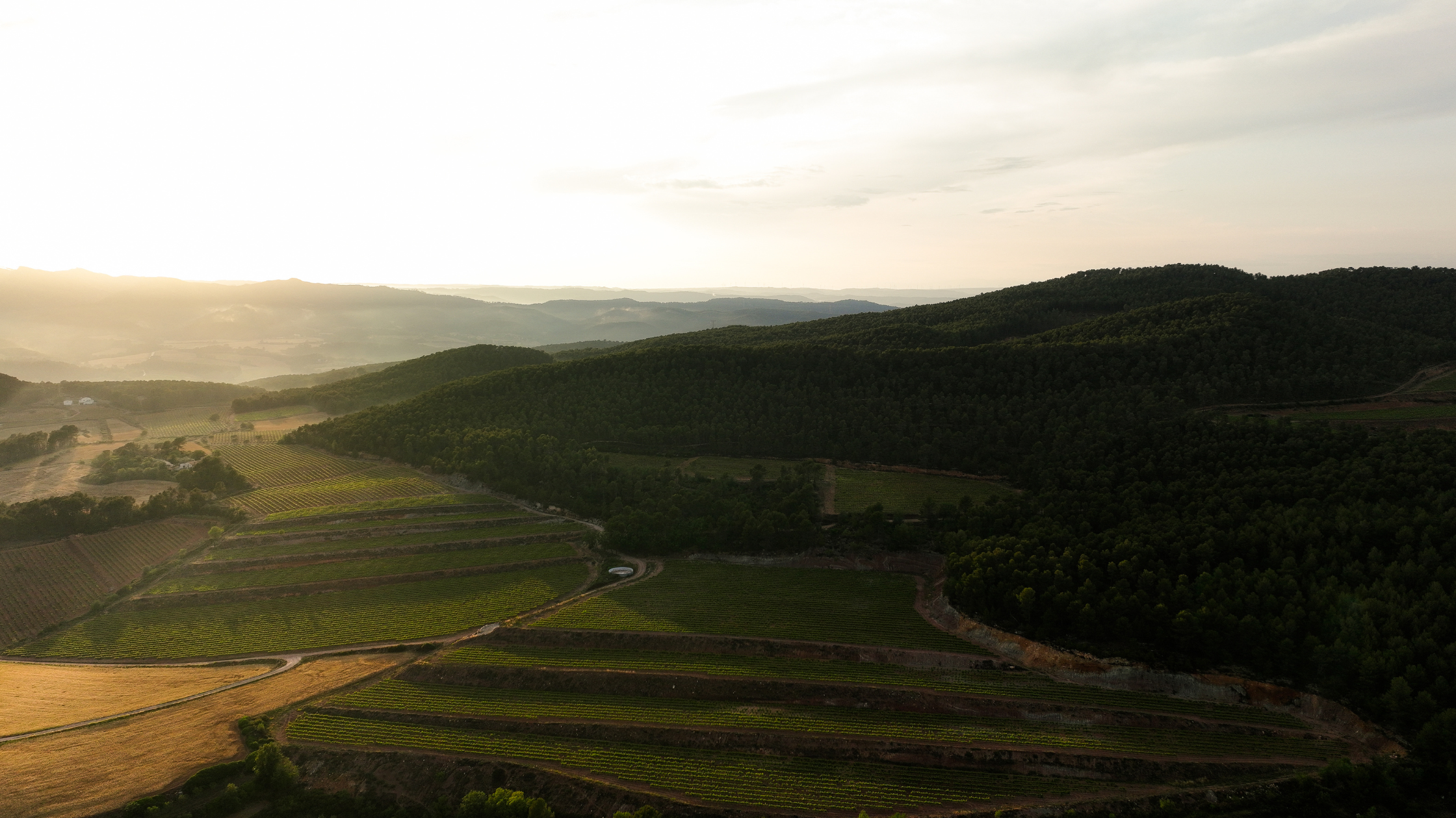 enoturisme penedes