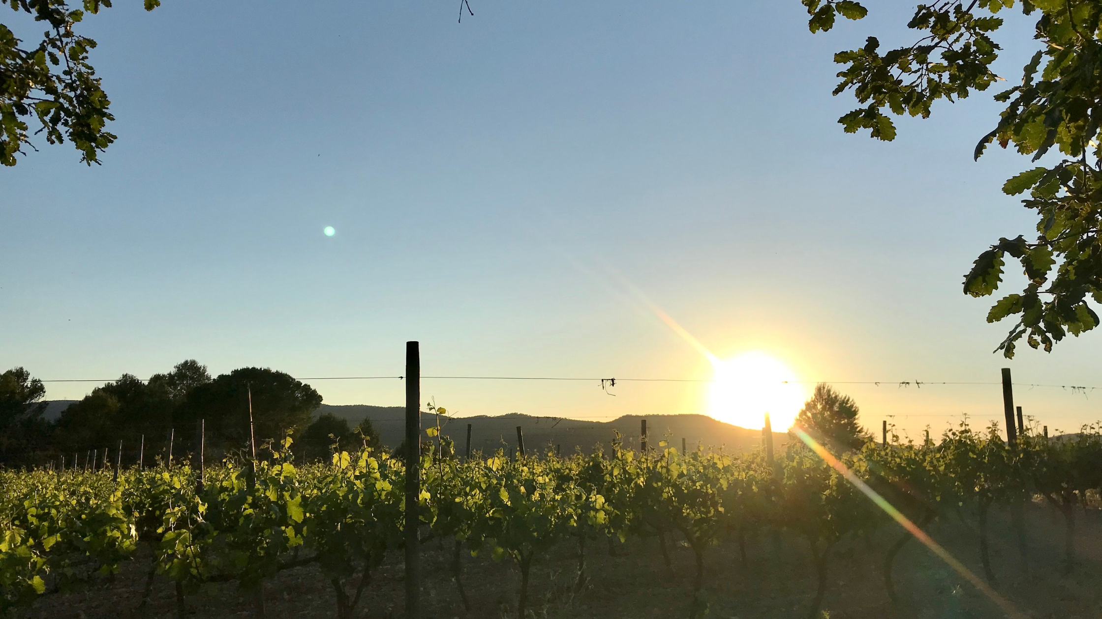 enoturisme penedes