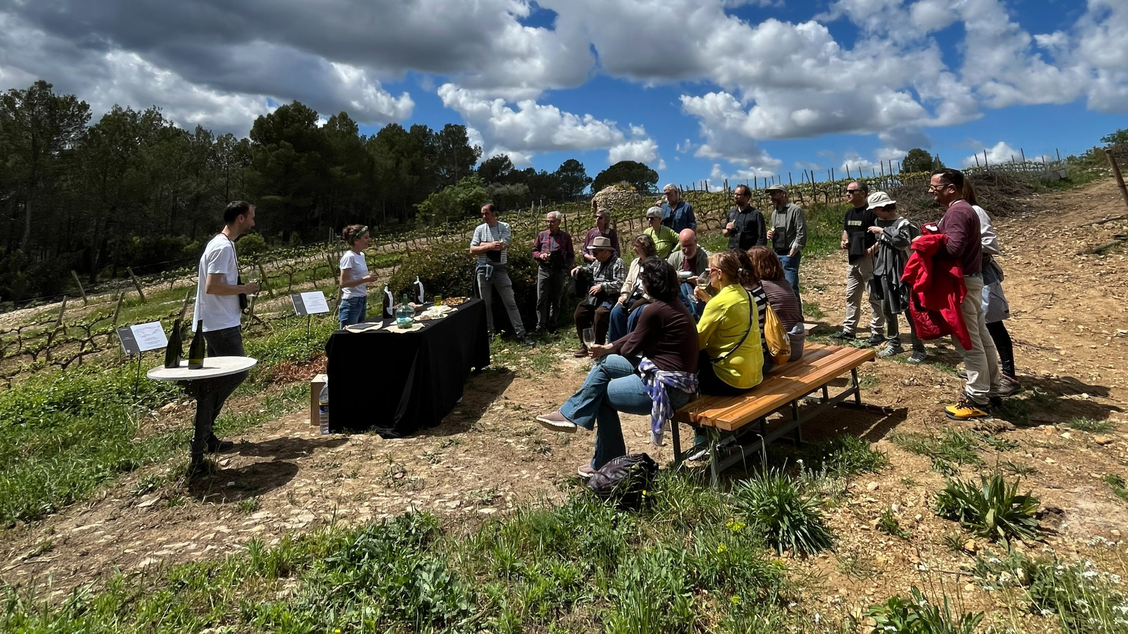 enoturisme penedes