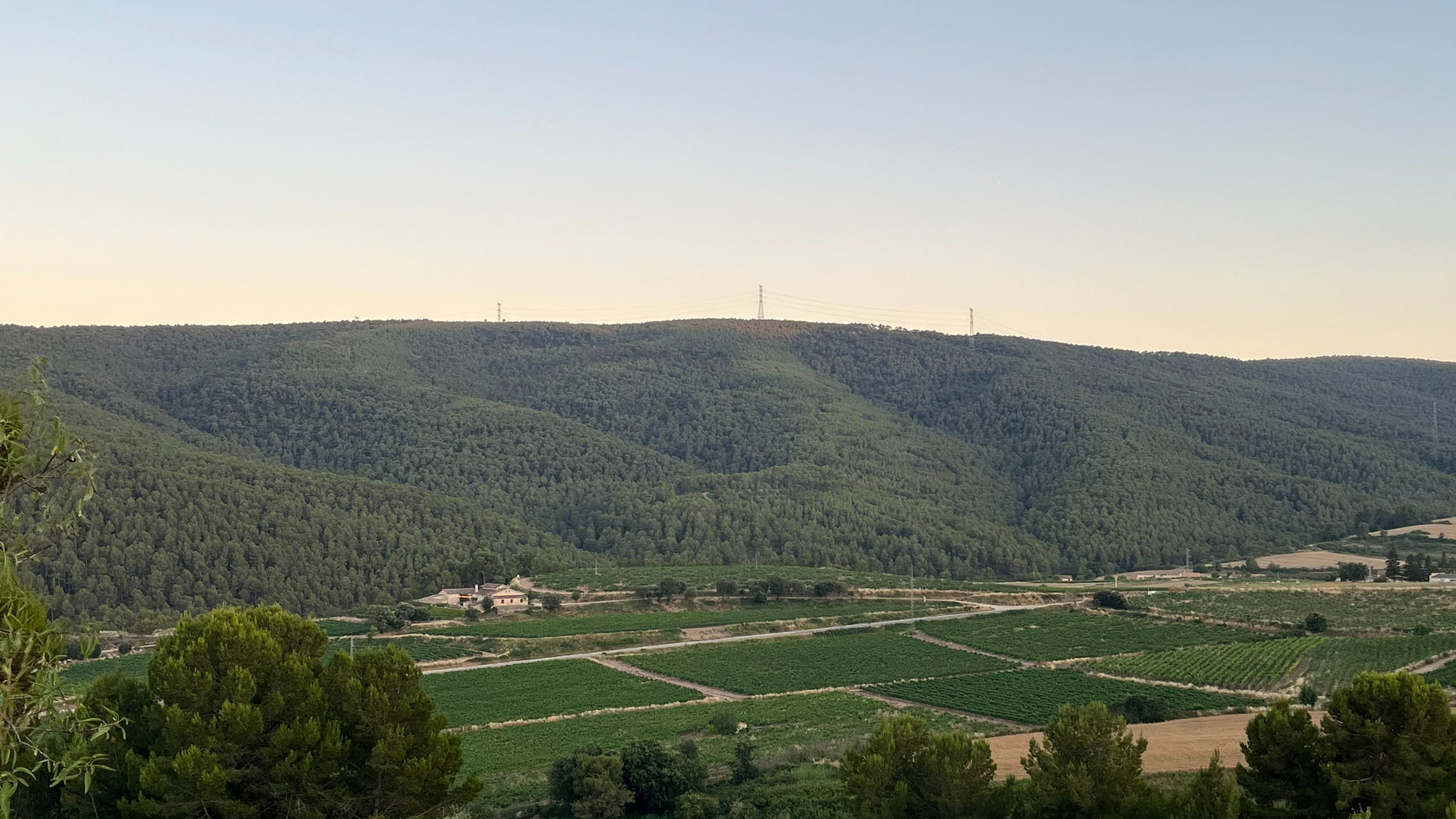 enoturisme penedes