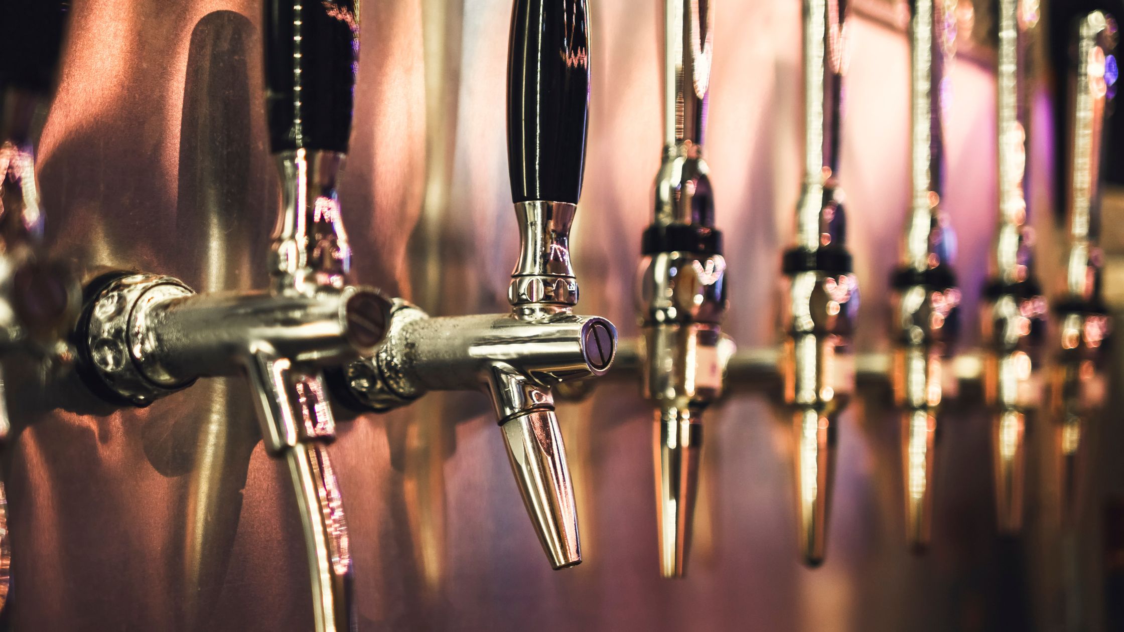 cerveza artesana