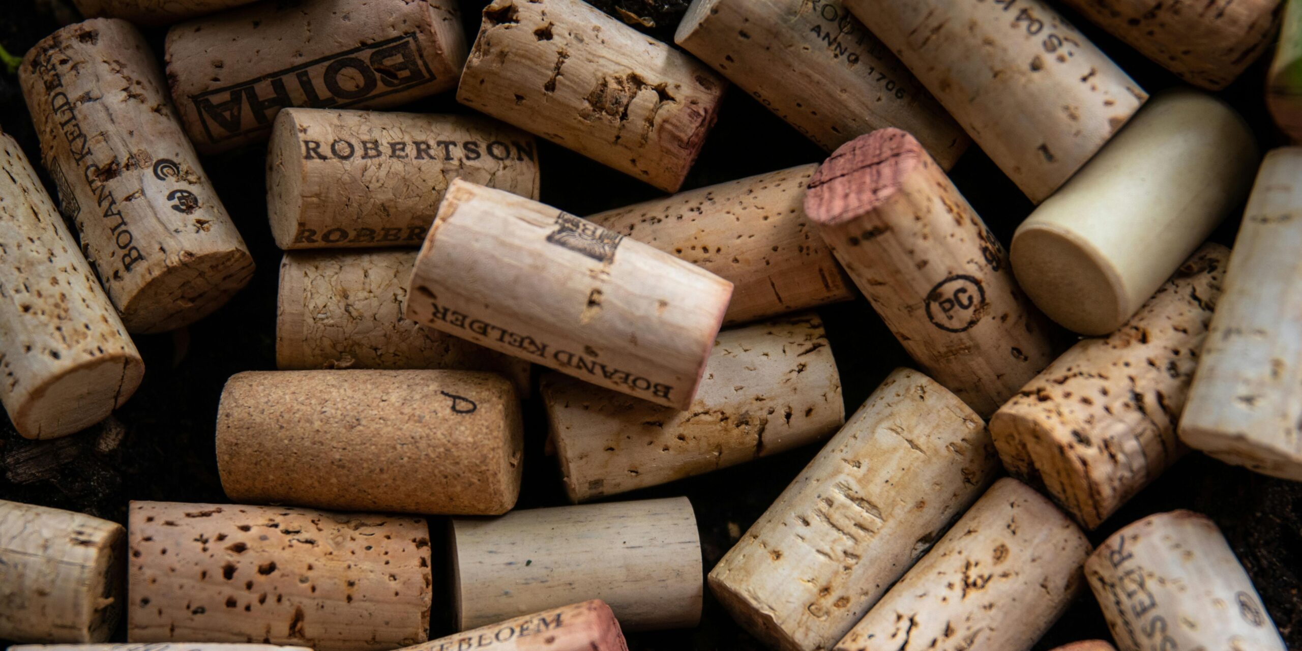 enoturisme catalunya