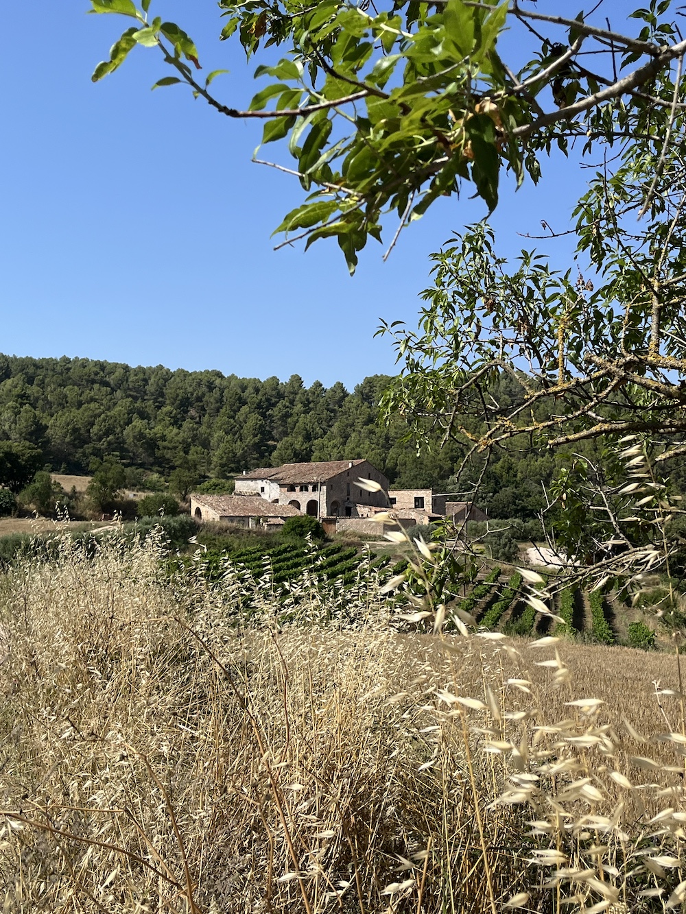 Penedès Refugi | Turisme regeneratiu al Penedès: viatjar deixant una empremta positiva